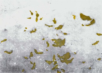 Golden Saliva Traces, 2010, Mixed media processed photograph,  55 x 75 cm, edition of 5