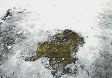 Self-portrait, 2010, Mixed media processed photograph,  55 x 75 cm, edition of 5