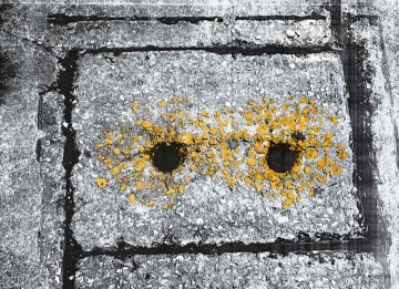 The Eyes of the Gutter, The Eyes of Kedarnah,  2010, Mixed media processed photograph, 60 x 90 cm, edition of 5