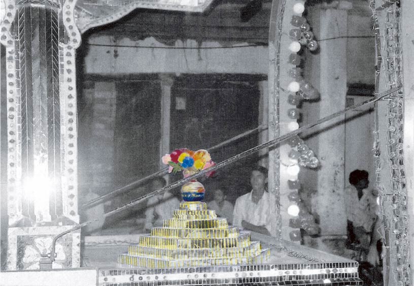 Pot of Flowers, 2010, Mixed media processed photograph,  55 x 75 cm, edition of 5