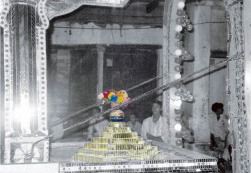 Pot of Flowers, 2010, Mixed media processed photograph,  55 x 75 cm, edition of 5