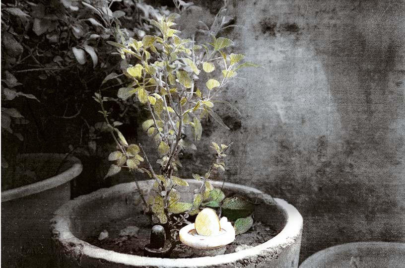 Everyday Siva Lingam, 2007, Mixed media processed photograph,  60 x 90 cm, edition of 5
