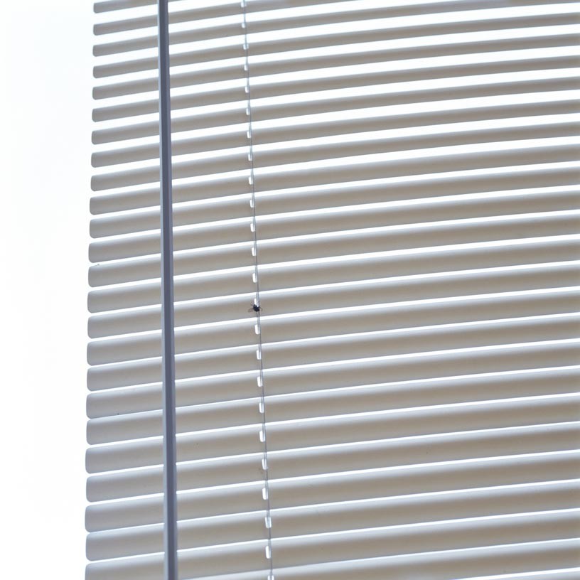 The Trap, 2007, C-print, 70 x 70 cm, edition of 3 + 1AP