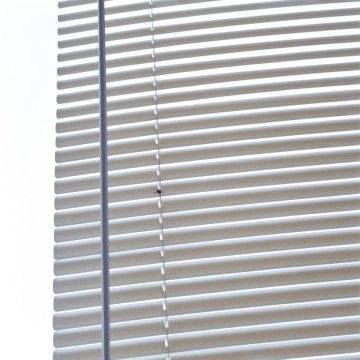 The Trap, 2007, C-print, 70 x 70 cm, edition of 3 + 1AP