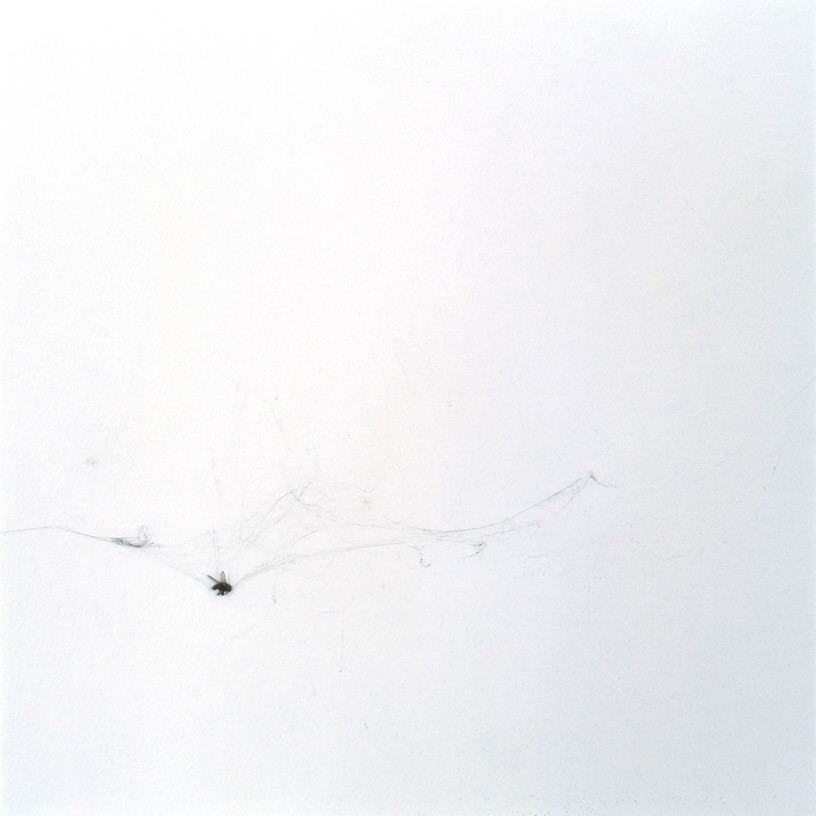 The Trap, 2007, C-print, 70 x 70 cm, edition of 3 + 1AP