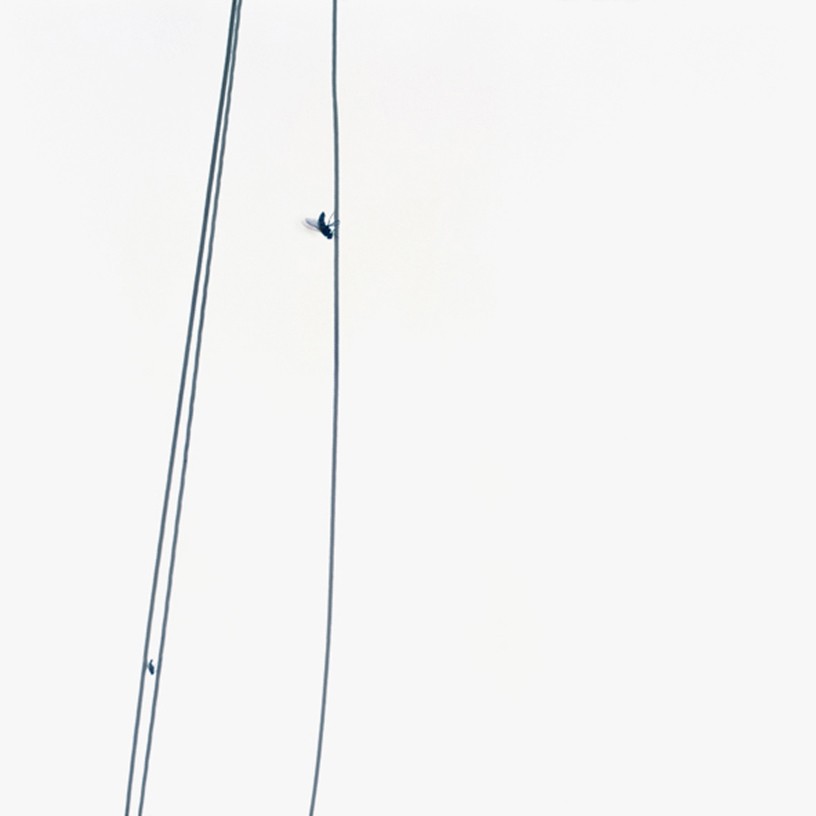 The Trap, 2007, C-print, 70 x 70 cm, edition of 3 + 1AP