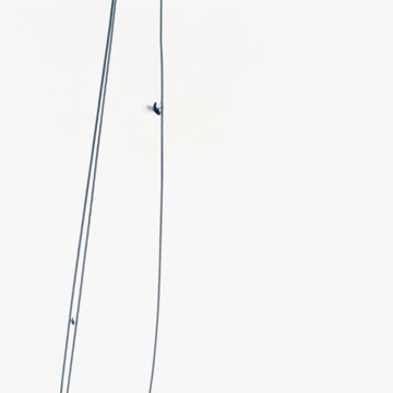 The Trap, 2007, C-print, 70 x 70 cm, edition of 3 + 1AP