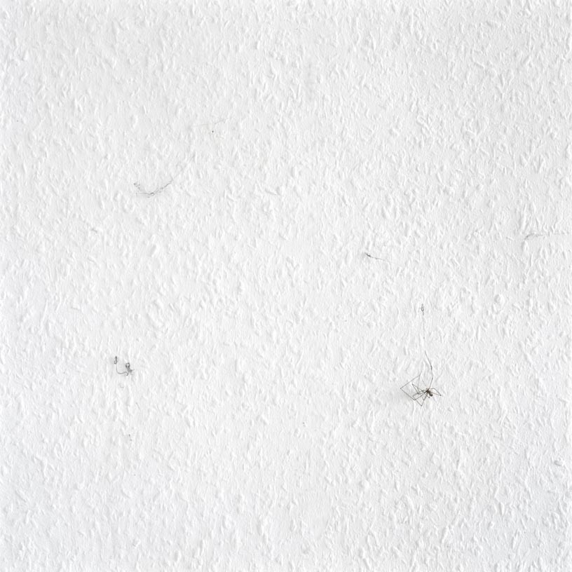 The Trap, 2007, C-print, 70 x 70 cm, edition of 3 + 1AP