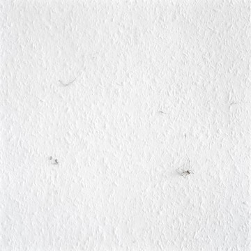 The Trap, 2007, C-print, 70 x 70 cm, edition of 3 + 1AP