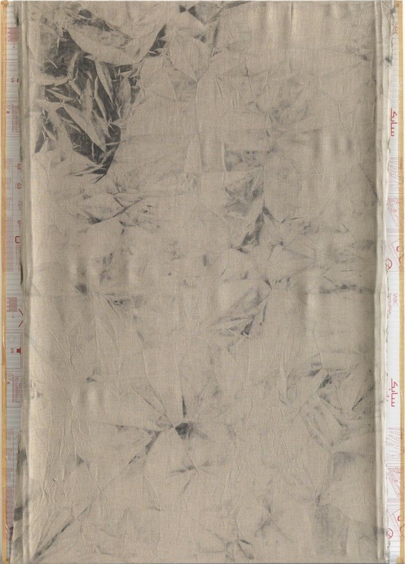 Untitled, 2010, Pigment on canvas, polycarbonate, 210 x 150 cm