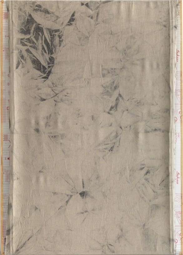 Untitled, 2010, Pigment on canvas, polycarbonate, 210 x 150 cm