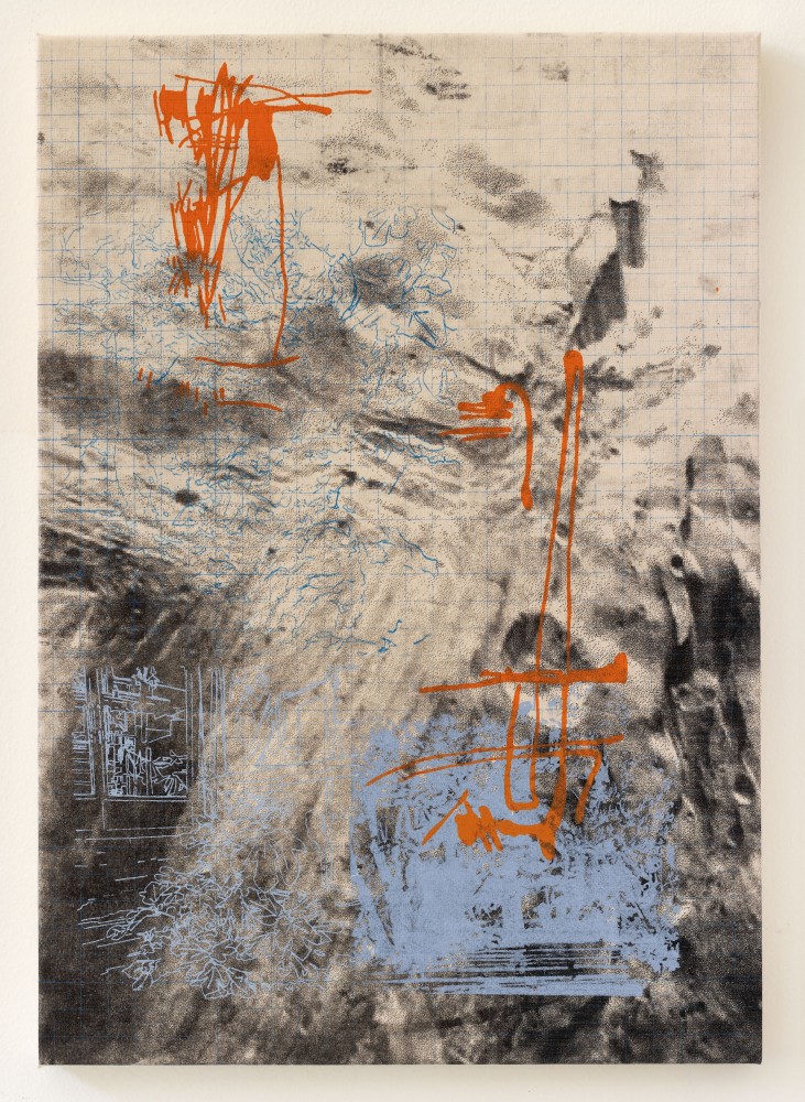 Botanist of the Sidewalk, 2023-2026, Lithograph and silkscreen on canvas, 70 x 50 cm
