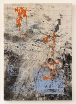 Botanist of the Sidewalk, 2023-2026, Lithograph and silkscreen on canvas, 70 x 50 cm