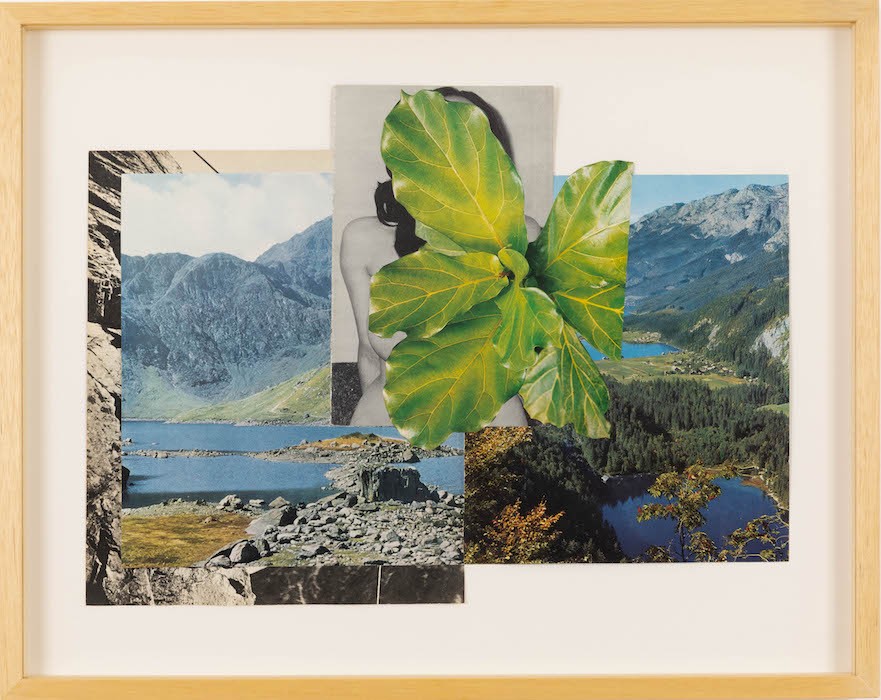 Calla (Feeling that way), 2022, Collage, 32.5 x 44 cm