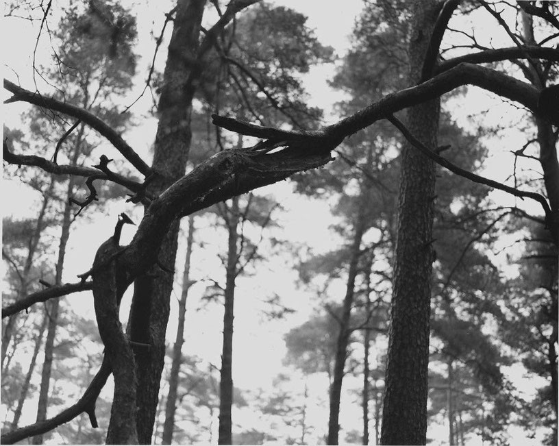 89/90, 1989/1990, black & white photograph, 40,18 x 32 cm, edition 6+1AP