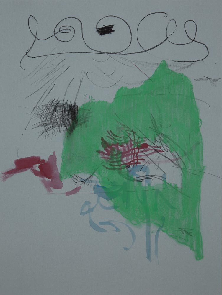 Shell-from color, 2015, Charcoal, acrylic, pastel on cloth, mounted on aluminium, 101.6 x 76.2 cm (40 x 30 inches)