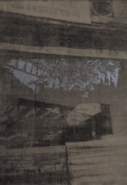 Flora Over Asklipiou, 2017-19, Lithograph and screen print on linen, 81 x 54 cm