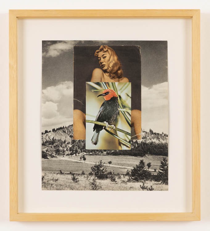 Eleni Bagaki, Cardinal (Feeling that way), 2022, Collage, 28 x 23.5 cm