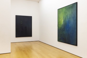 Panos Papadopoulos, Purple Rain, installation view