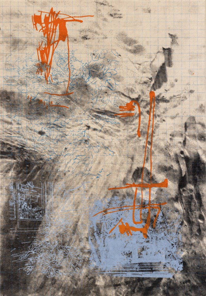 Botanist of the Sidewalk, 2023-2026, Lithograph and silkscreen on canvas, 70 x 50 cm